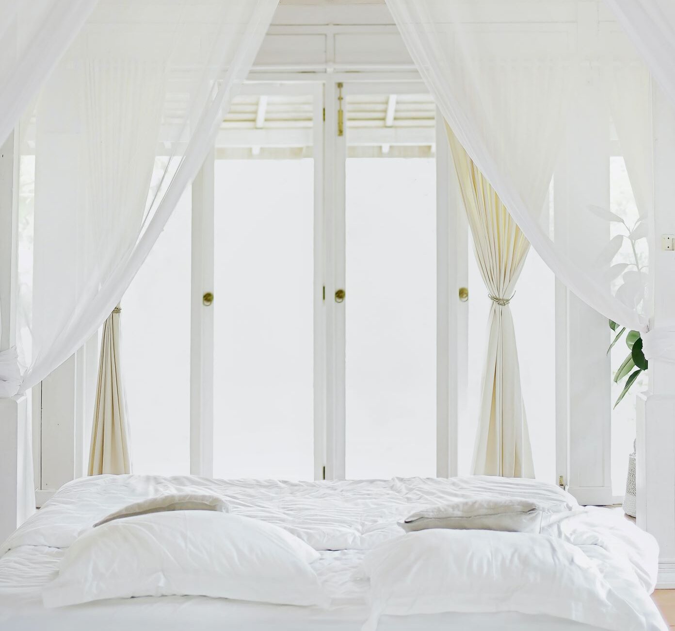 brightly lit bedroom with white linens